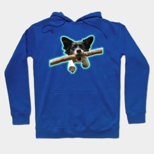 Lena the Wonder Dog by BrokenTrophies Hoodie